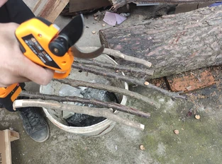 Pruning shears Pruning shears